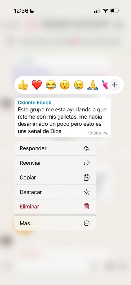 Testimonio de una clienta del e-book
